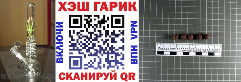 ОМГ ОМГ онион  Пудож  ГАШ хэш 
