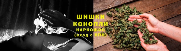 трава Покачи