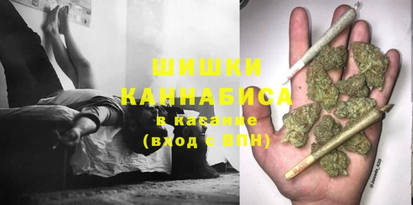 дмт Покровск