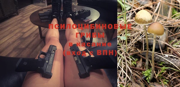 трава Покачи