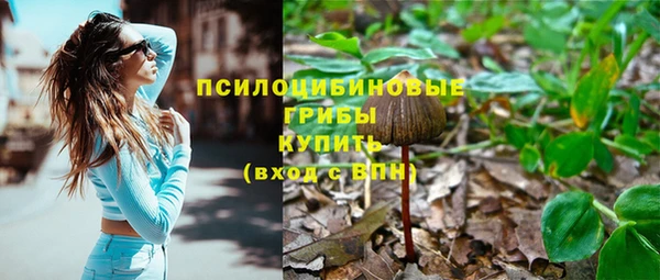 не бодяженный Переславль-Залесский