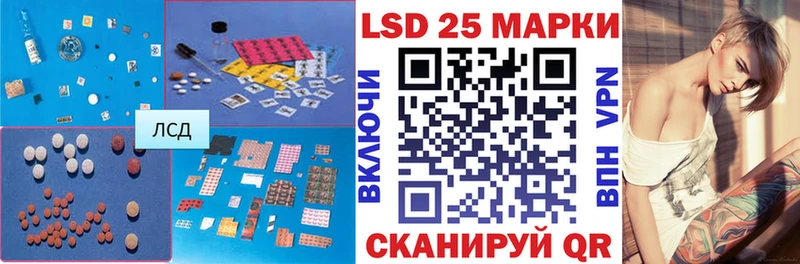 где найти   Пудож  Лсд 25 экстази ecstasy 
