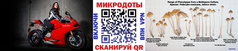 Псилоцибиновые грибы прущие грибы Пудож