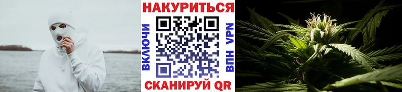 KRAKEN онион  Пудож  Бошки Шишки Amnesia  купить наркоту 